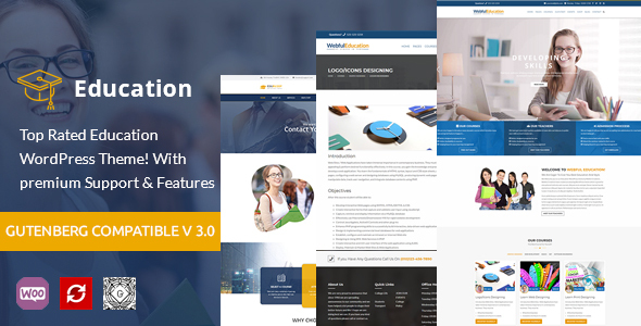 Sale, Write Customizer-Ready WordPress Themes for 5,